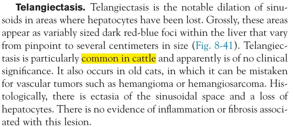 5e4b77290a0eb.jpg#s-944,411