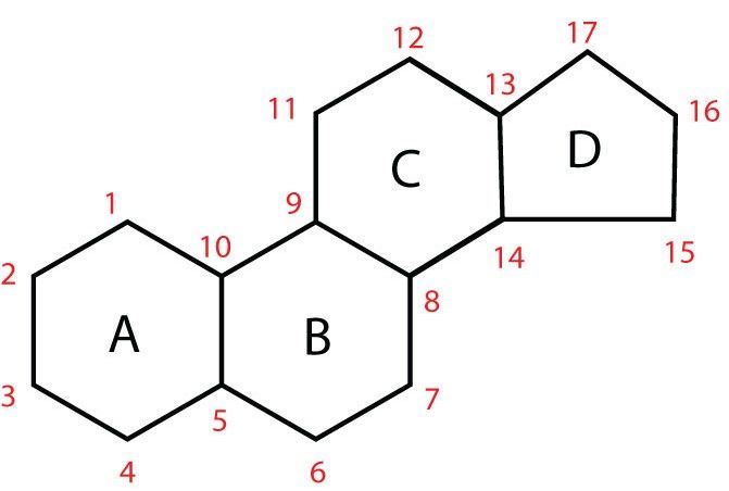 5e4cb0bc6e84c.jpg#s-671,452