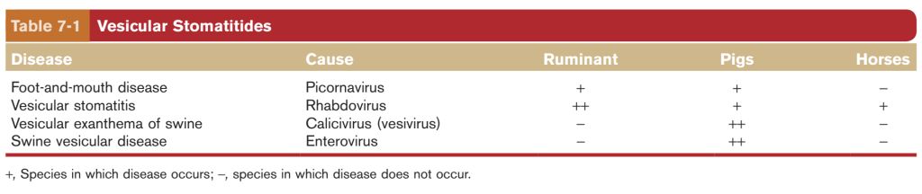 5e4cb42a5f2c8.jpg#s-1024,216