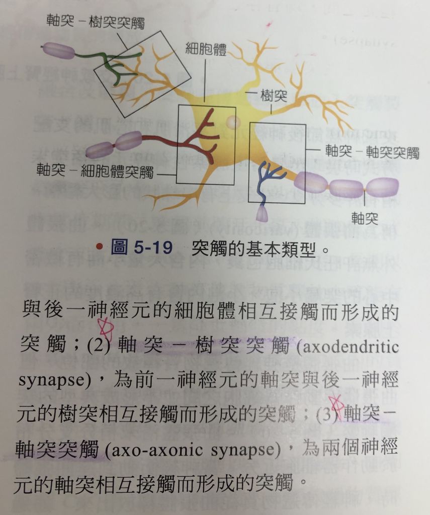 5e4ccfde39b40.jpg#s-855,1024