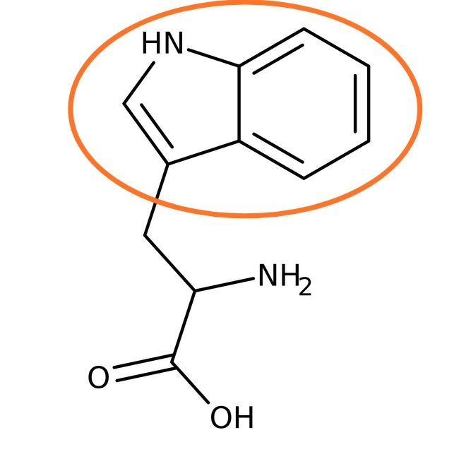 5e4d4188edf35.jpg#s-650,650