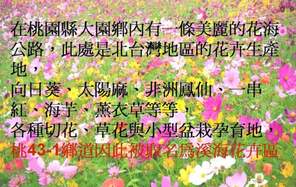 5e4dfad4272e3.jpg#s-1024,646