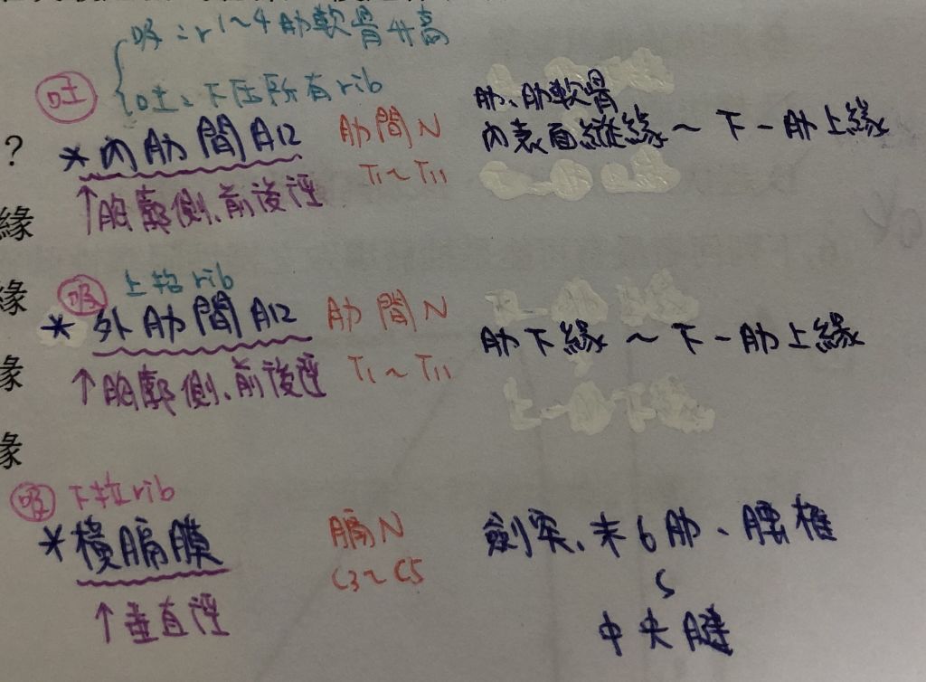 5e4e1ef6b1dfc.jpg#s-1024,754