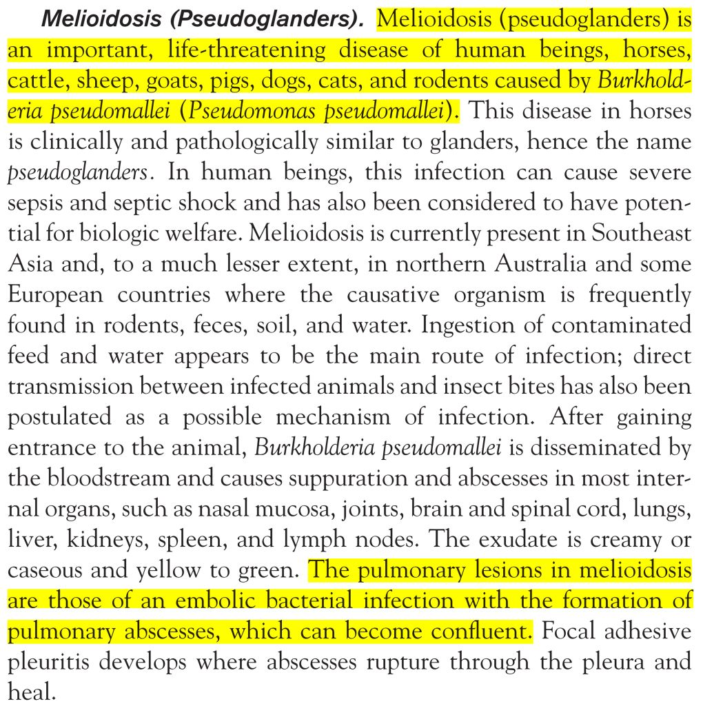 5e5100100808e.jpg#s-1020,1024