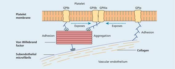 5e512d583d31e.jpg#s-568,226