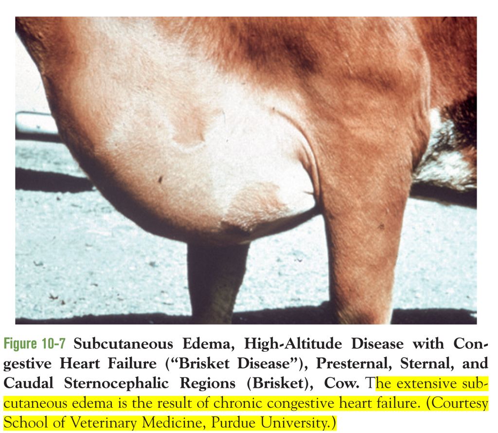 5e522008c4a31.jpg#s-1024,890