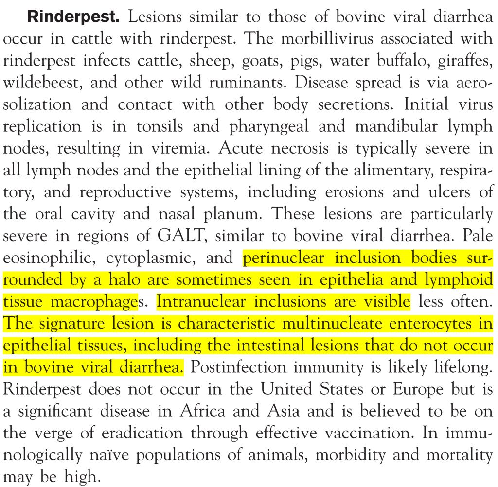 5e552832cbaf1.jpg#s-1024,1002