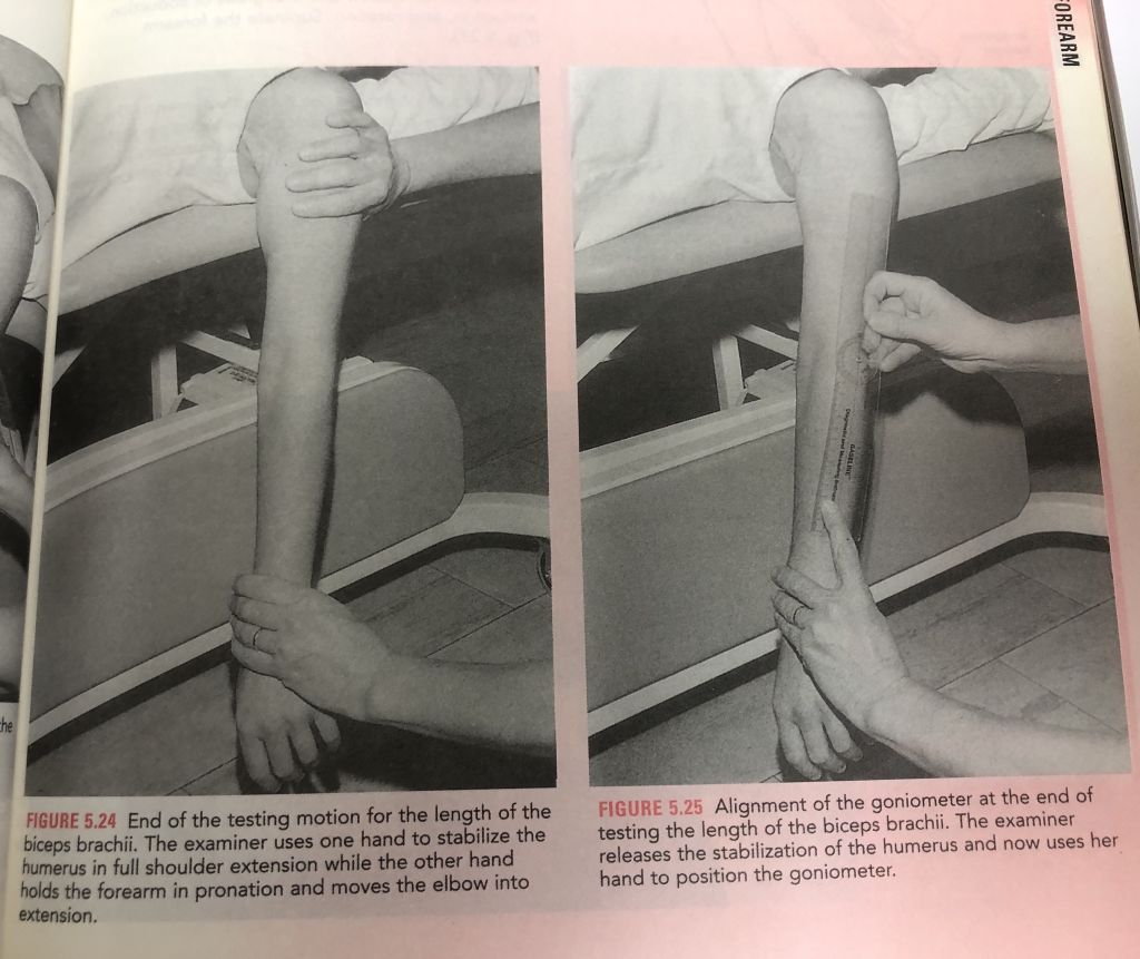 5e560ab1aad49.jpg#s-1024,861