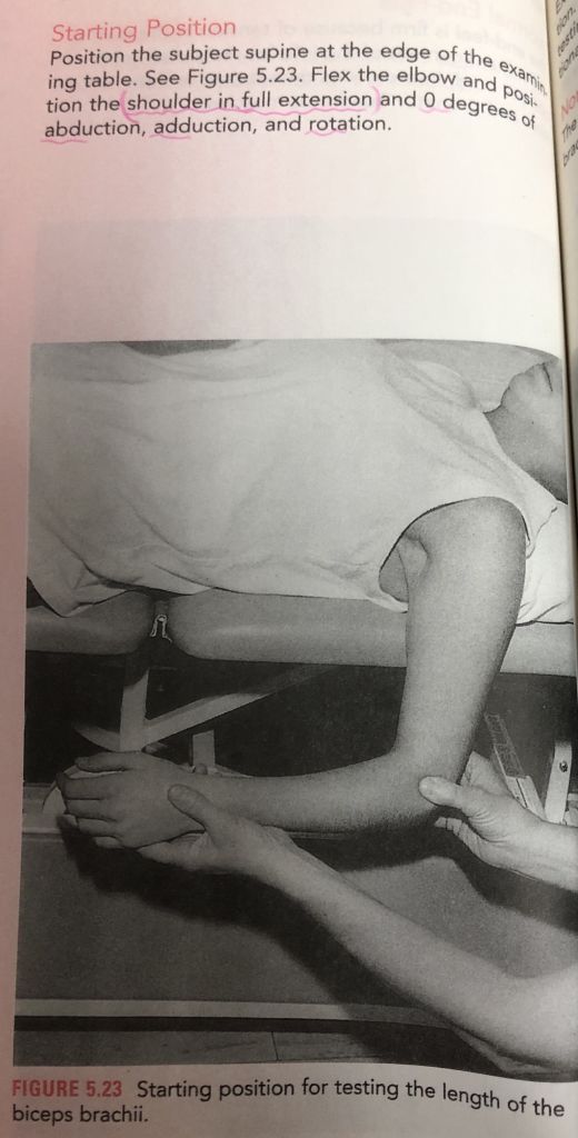 5e560b5183c9e.jpg#s-520,1024