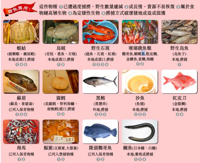 5e6329a5683a2.jpg#s-653,533