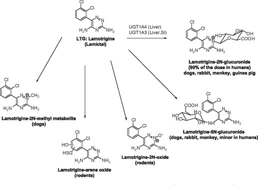 5e64abbee6622.jpg#s-517,371