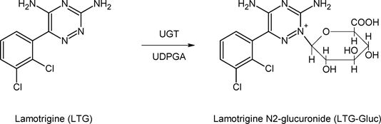 5e64abced8a72.jpg#s-534,174