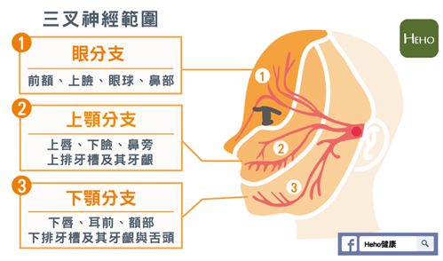 5e7c227591777.jpg#s-499,294