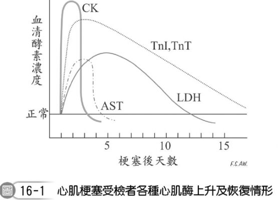 15 關於心肌酵素的敘述 下列何者為最不適當 A Ast 主要存於肝及骨 阿摩線上測驗