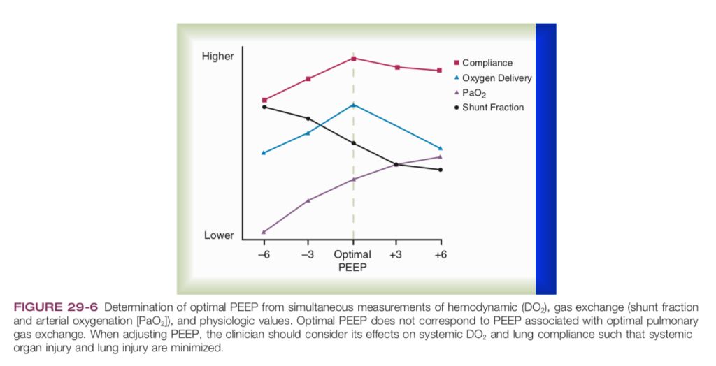 5e84af5d4f2b8.jpg#s-1024,524