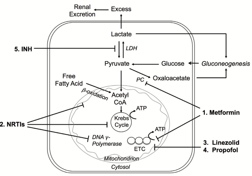 5e86f2fb439f5.jpg#s-1024,717
