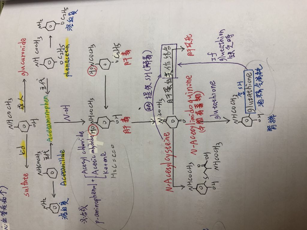 5e8788d27ed62.jpg#s-1024,768