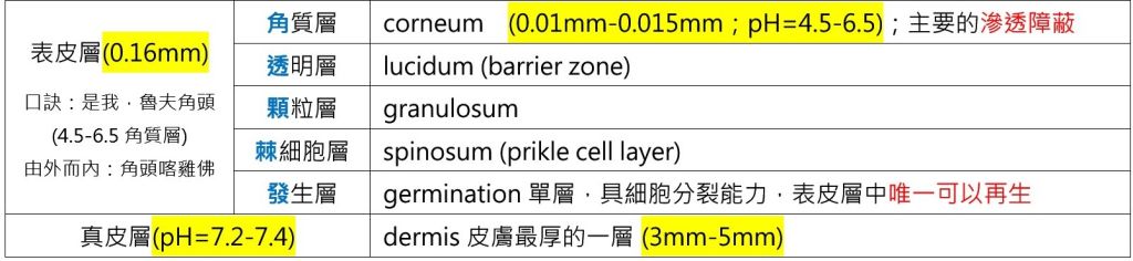 5e90bddc2ec2f.jpg#s-1024,236