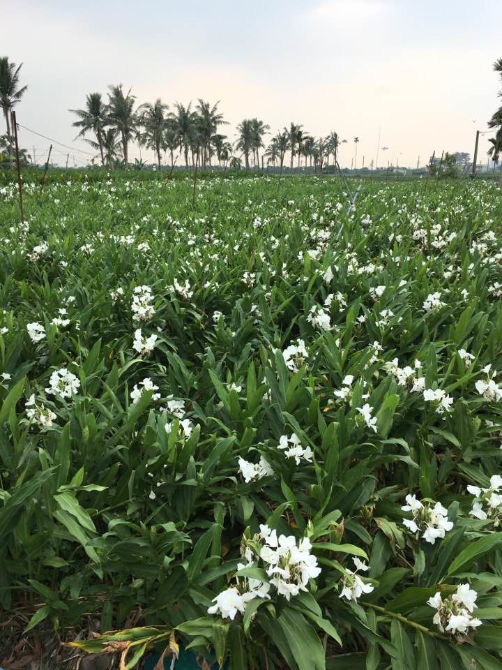 5e954cf9da870.jpg#s-720,960