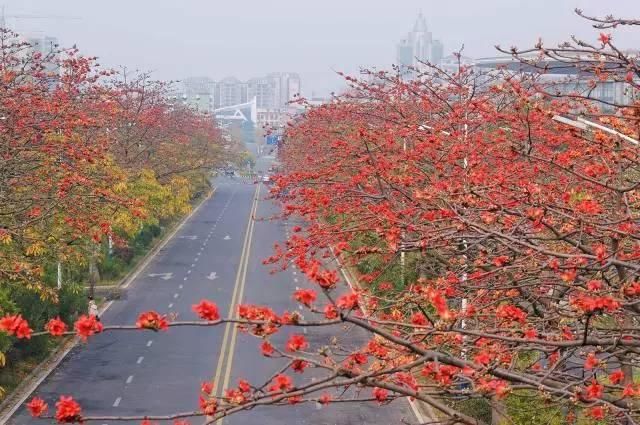 5e954f43272d1.jpg#s-640,425