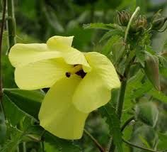 5e9af9757129e.jpg#s-236,214