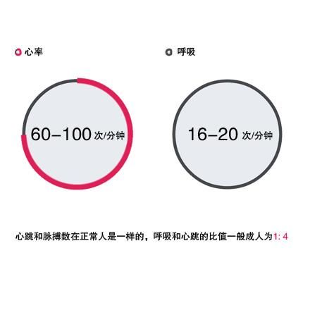 5ea992f161412.jpg#s-440,440