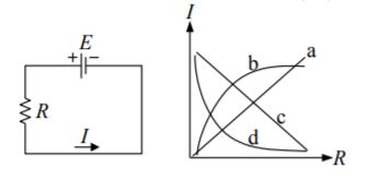 5eb2155c2cc43.jpg