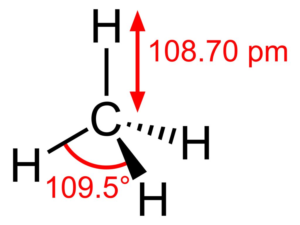 5ecd305c669ef.jpg#s-1024,768