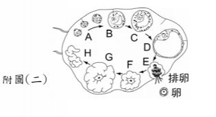 5ed60e5018b86.jpg#s-315,171