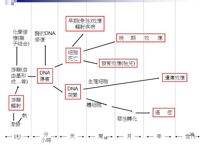阿摩線上測驗