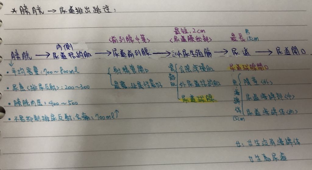 5f0ddbf6257b4.jpg#s-1024,558