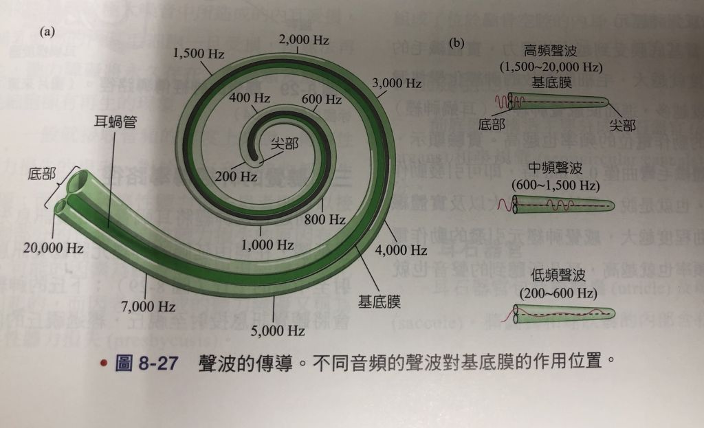 5f0ddf0d70c61.jpg#s-1024,623