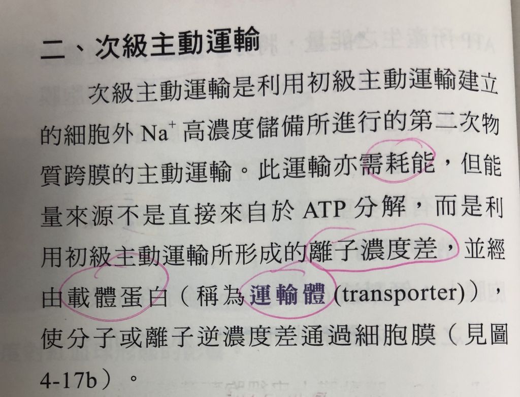 5f11c7b5a1e08.jpg#s-1024,782