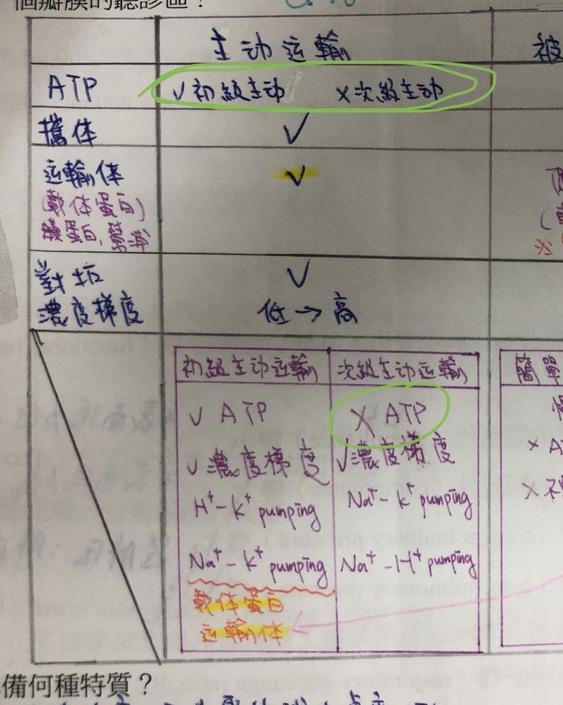 5f11cc462d25e.jpg#s-817,1024