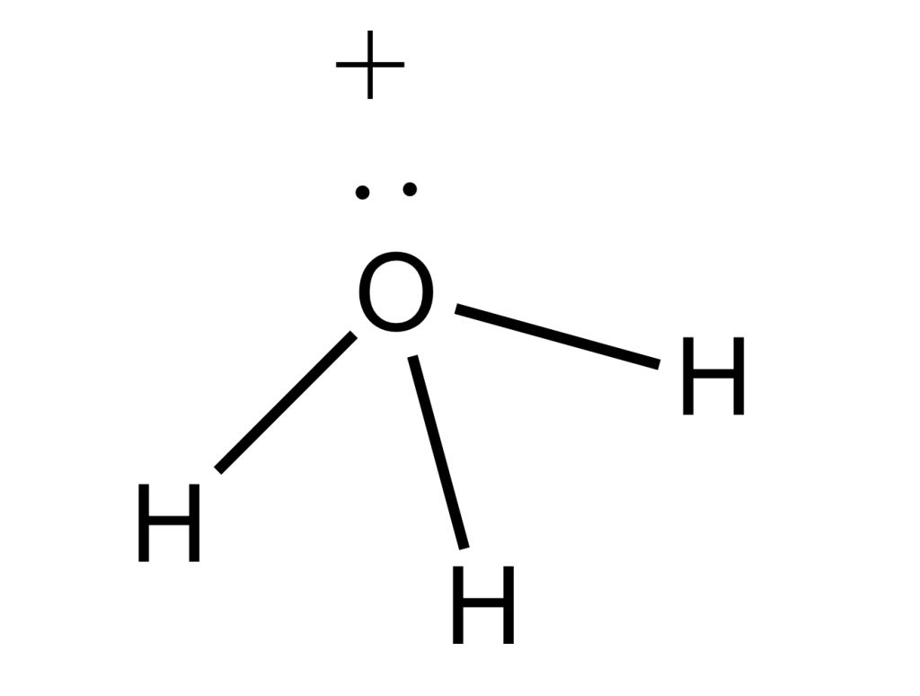 5f223dd1a2ec1.jpg#s-1024,774