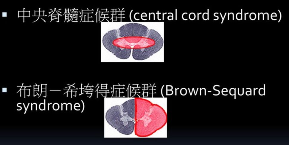 5f278f8a385d2.jpg
