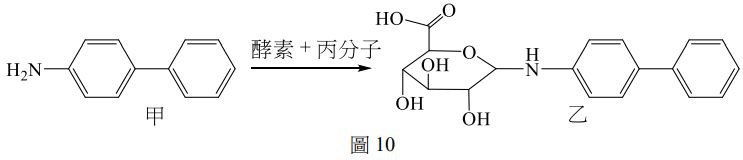 5f2bbd304afd5.jpg