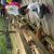 jack069103