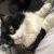 k90222123