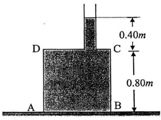 5fc9868023dbc.jpg