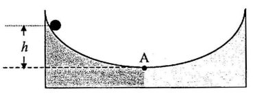 5fc9888693da3.jpg