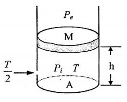 5fc990f5029ea.jpg