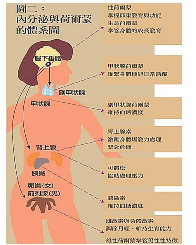 5fe695b28bfd3.jpg#s-671,840