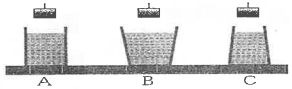 5fe94e5af031e.jpg