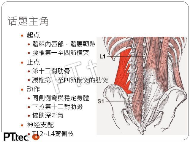5fed8c91464cb.jpg