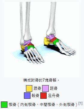 5fef1c9fadf13.jpg
