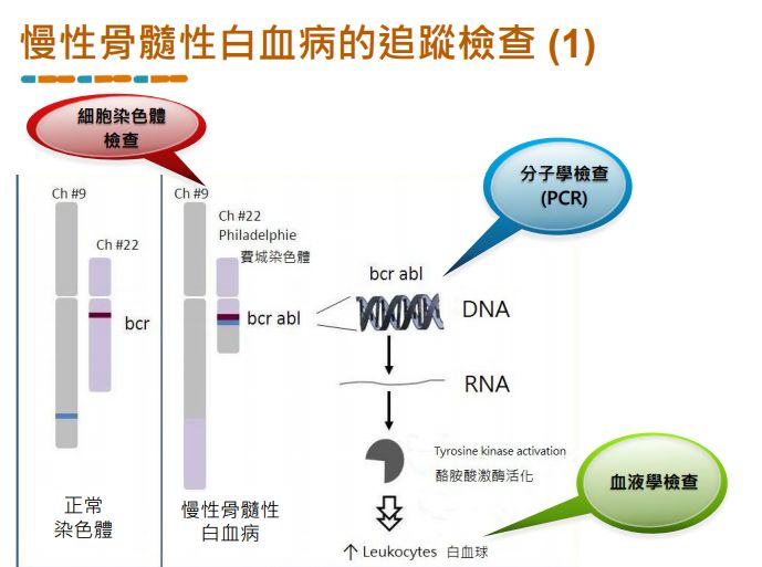 5ffdadcab7e3e.jpg#s-689,513