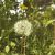 fs77153291940