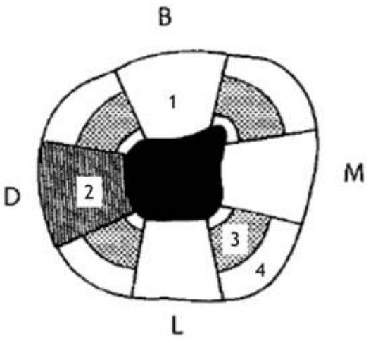 6018f9feb0eae.jpg