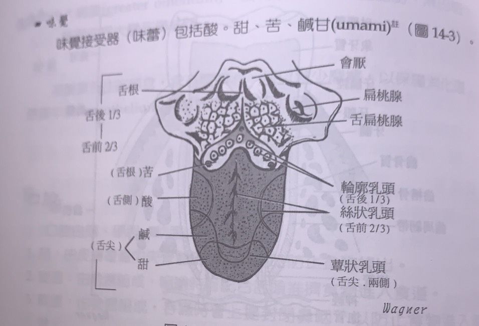 601a3dad2565f.jpg#s-956,652